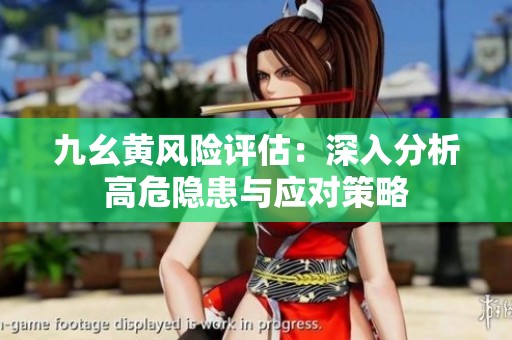九幺黄风险评估：深入分析高危隐患与应对策略