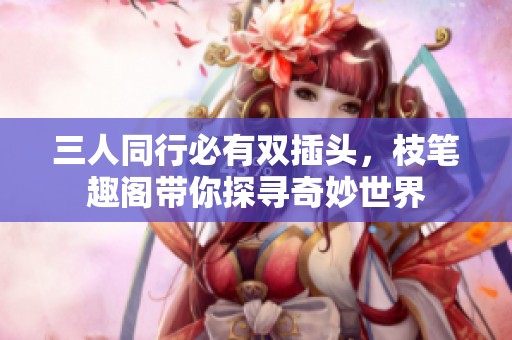 三人同行必有双插头，枝笔趣阁带你探寻奇妙世界