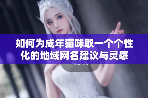 如何为成年猫咪取一个个性化的地域网名建议与灵感