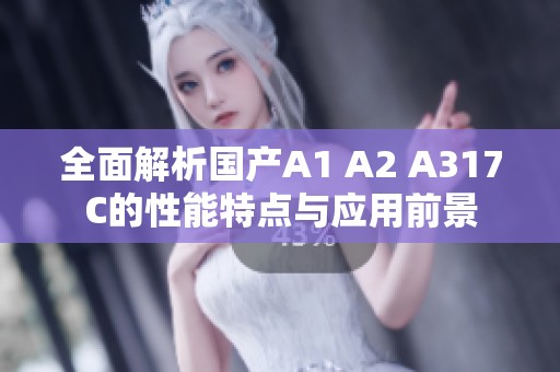 全面解析国产A1 A2 A317C的性能特点与应用前景