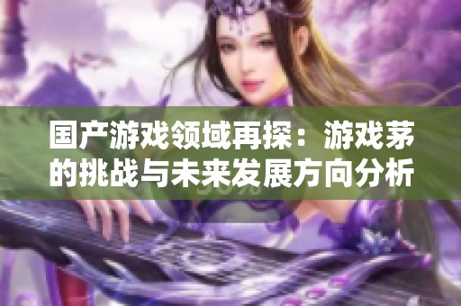 国产游戏领域再探：游戏茅的挑战与未来发展方向分析