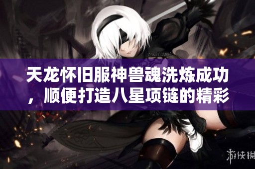 天龙怀旧服神兽魂洗炼成功，顺便打造八星项链的精彩经历