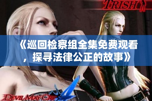 《巡回检察组全集免费观看，探寻法律公正的故事》