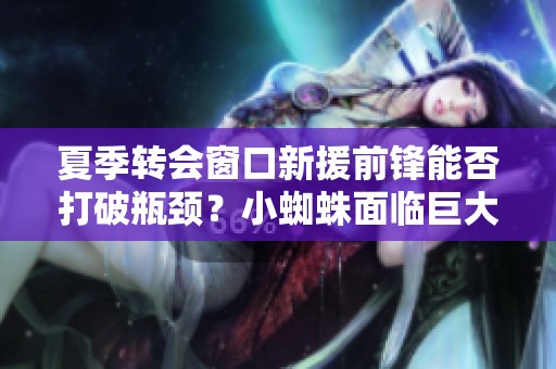夏季转会窗口新援前锋能否打破瓶颈？小蜘蛛面临巨大压力