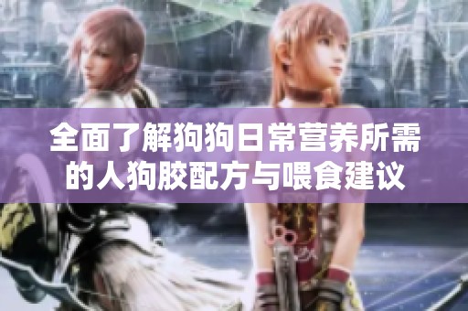 全面了解狗狗日常营养所需的人狗胶配方与喂食建议
