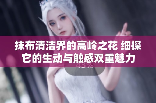 抹布清洁界的高岭之花 细探它的生动与触感双重魅力