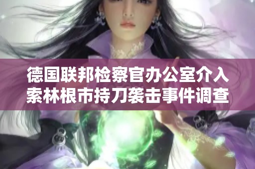 德国联邦检察官办公室介入索林根市持刀袭击事件调查