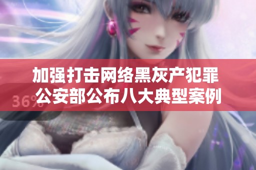 加强打击网络黑灰产犯罪 公安部公布八大典型案例