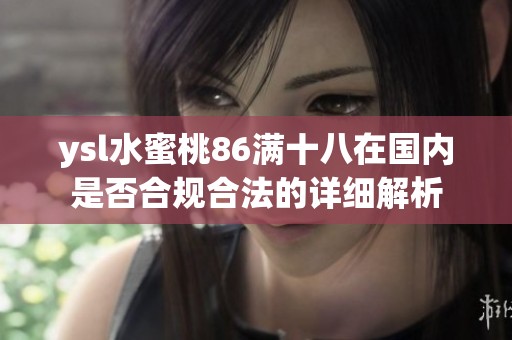 ysl水蜜桃86满十八在国内是否合规合法的详细解析