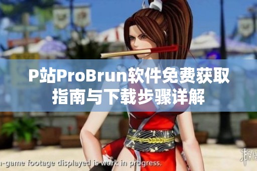 P站ProBrun软件免费获取指南与下载步骤详解