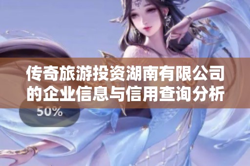 传奇旅游投资湖南有限公司的企业信息与信用查询分析