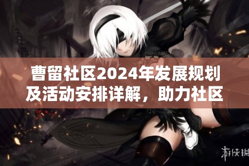 曹留社区2024年发展规划及活动安排详解，助力社区繁荣建设