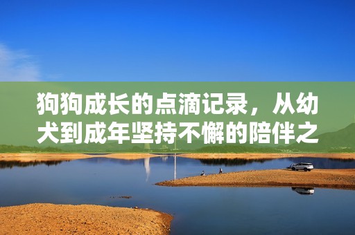 狗狗成长的点滴记录，从幼犬到成年坚持不懈的陪伴之旅