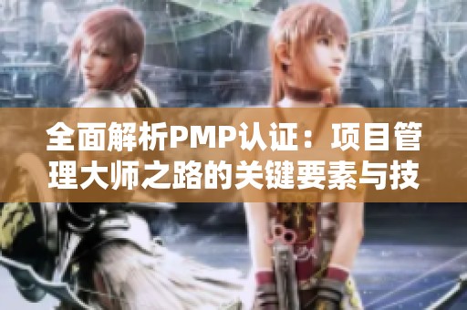 全面解析PMP认证：项目管理大师之路的关键要素与技巧
