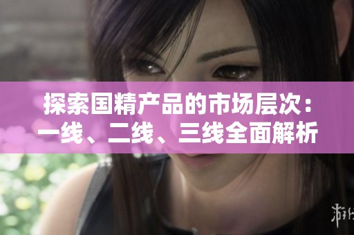 探索国精产品的市场层次：一线、二线、三线全面解析与对比