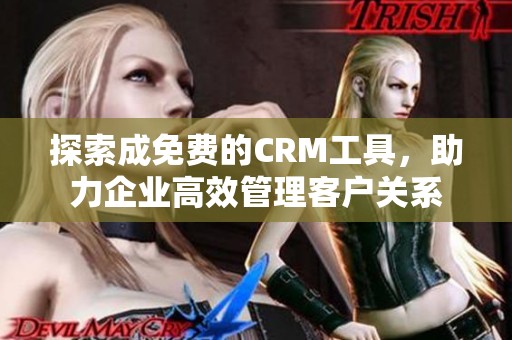 探索成免费的CRM工具，助力企业高效管理客户关系