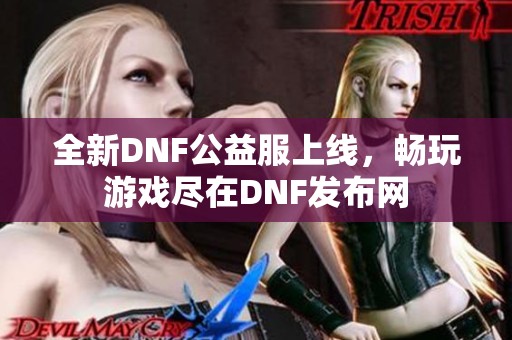 全新DNF公益服上线，畅玩游戏尽在DNF发布网