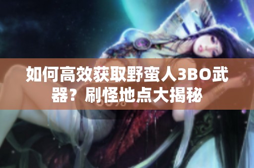 如何高效获取野蛮人3BO武器？刷怪地点大揭秘