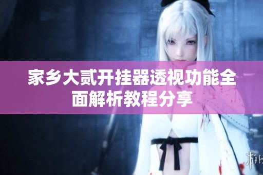 家乡大贰开挂器透视功能全面解析教程分享