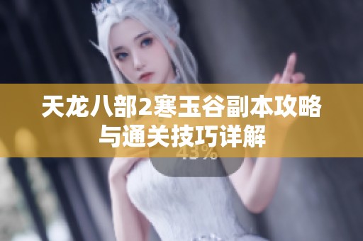 天龙八部2寒玉谷副本攻略与通关技巧详解
