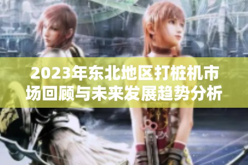 2023年东北地区打桩机市场回顾与未来发展趋势分析