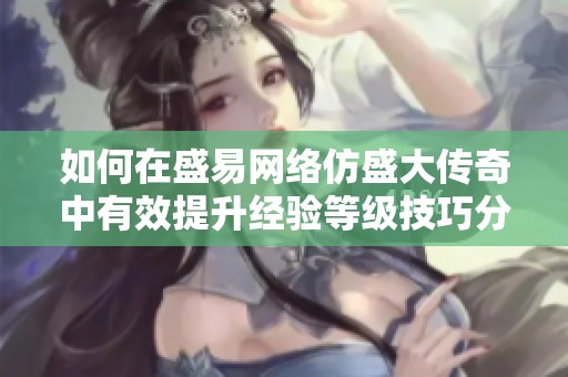 如何在盛易网络仿盛大传奇中有效提升经验等级技巧分享