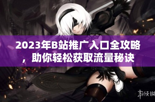 2023年B站推广入口全攻略，助你轻松获取流量秘诀