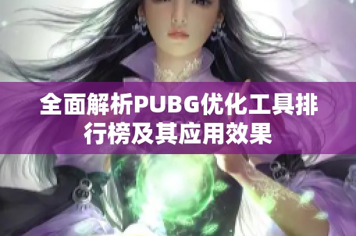 全面解析PUBG优化工具排行榜及其应用效果