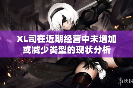 XL司在近期经营中未增加或减少类型的现状分析