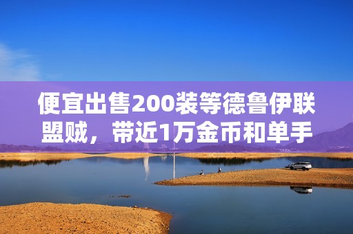 便宜出售200装等德鲁伊联盟贼，带近1万金币和单手蛋刀月