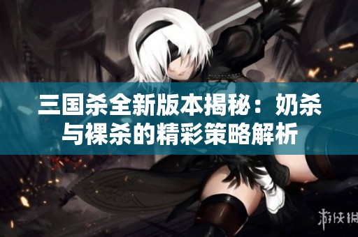 三国杀全新版本揭秘：奶杀与裸杀的精彩策略解析