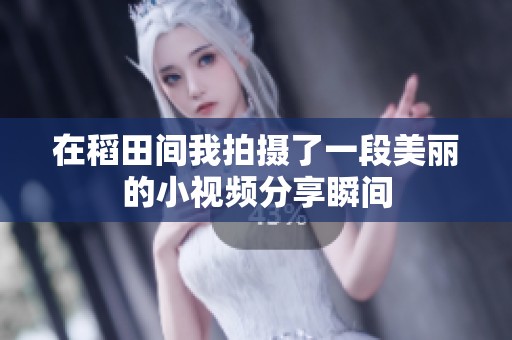 在稻田间我拍摄了一段美丽的小视频分享瞬间
