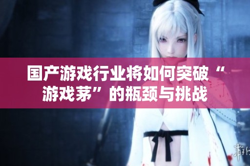 国产游戏行业将如何突破“游戏茅”的瓶颈与挑战