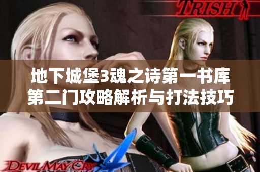 地下城堡3魂之诗第一书库第二门攻略解析与打法技巧分享