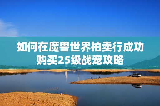 如何在魔兽世界拍卖行成功购买25级战宠攻略