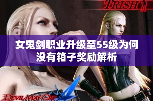 女鬼剑职业升级至55级为何没有箱子奖励解析