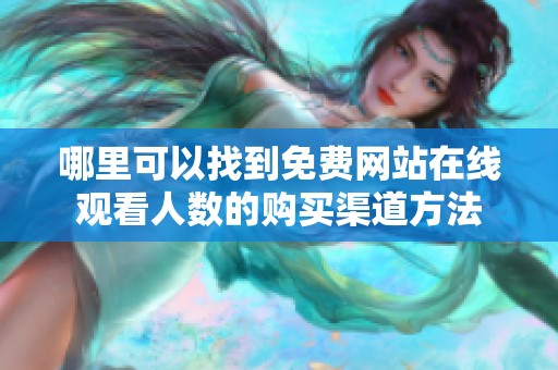 哪里可以找到免费网站在线观看人数的购买渠道方法