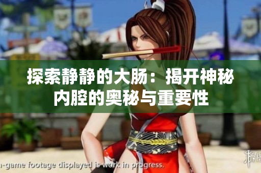 探索静静的大肠：揭开神秘内腔的奥秘与重要性