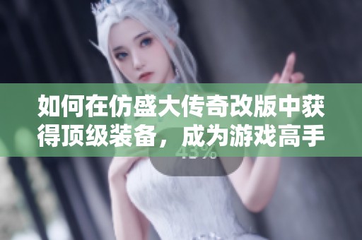 如何在仿盛大传奇改版中获得顶级装备，成为游戏高手的秘诀