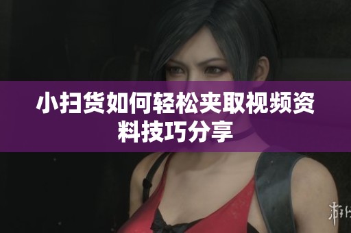 小扫货如何轻松夹取视频资料技巧分享