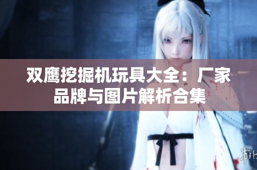 双鹰挖掘机玩具大全：厂家品牌与图片解析合集