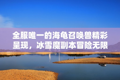 全服唯一的海龟召唤兽精彩呈现，冰雪魔副本冒险无限！