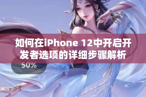如何在iPhone 12中开启开发者选项的详细步骤解析
