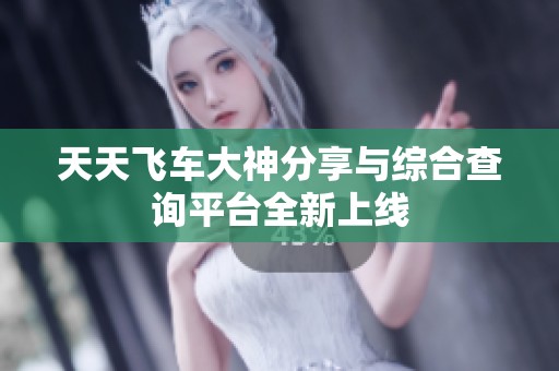 天天飞车大神分享与综合查询平台全新上线
