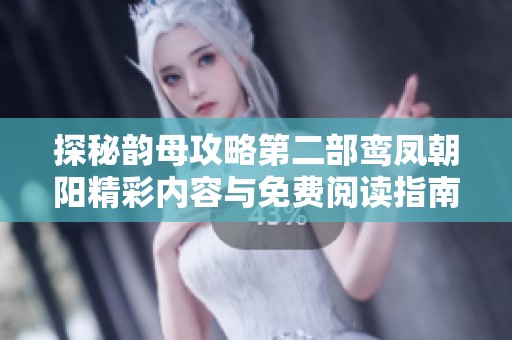 探秘韵母攻略第二部鸾凤朝阳精彩内容与免费阅读指南