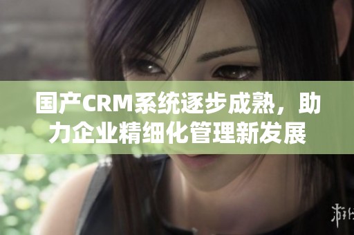 国产CRM系统逐步成熟，助力企业精细化管理新发展
