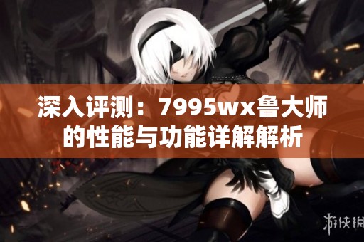 深入评测：7995wx鲁大师的性能与功能详解解析