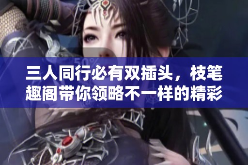 三人同行必有双插头，枝笔趣阁带你领略不一样的精彩故事