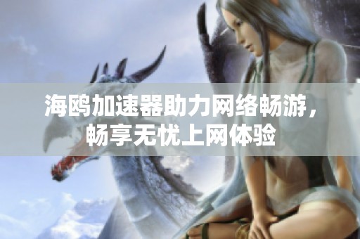 海鸥加速器助力网络畅游，畅享无忧上网体验