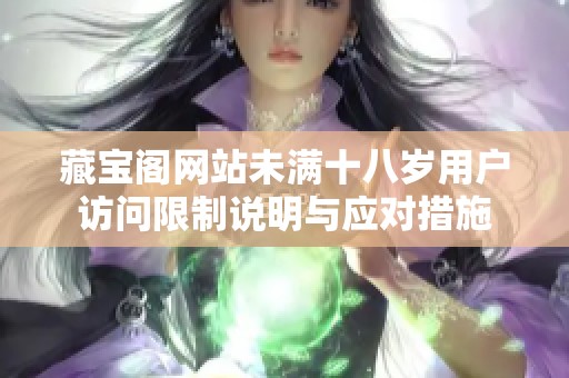 藏宝阁网站未满十八岁用户访问限制说明与应对措施